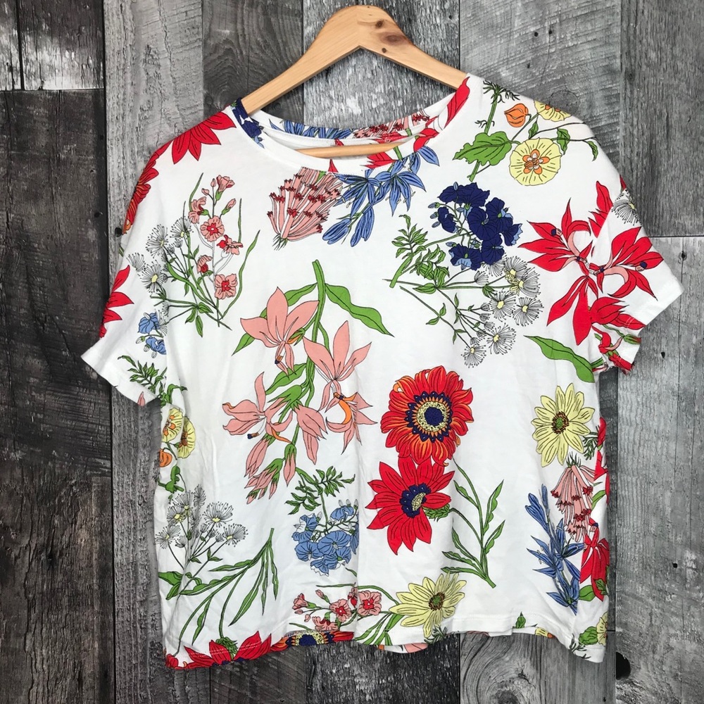 Zara Basic T Shirt